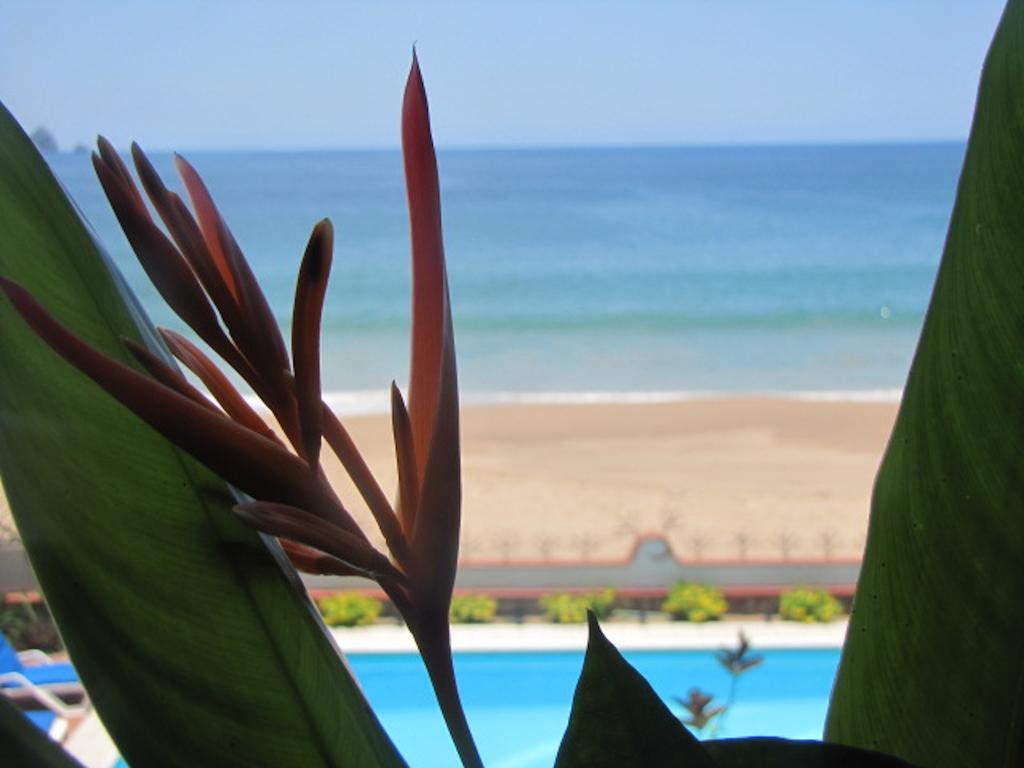 Hotel La Paloma Oceanfront Retreat San Patricio Melaque Pokoj fotografie